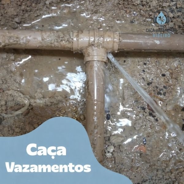 Caça Vazamentos